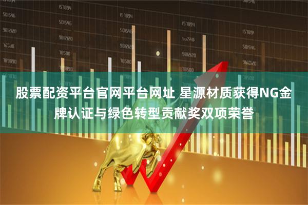 股票配资平台官网平台网址 星源材质获得NG金牌认证与绿色转型贡献奖双项荣誉