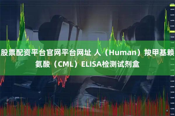 股票配资平台官网平台网址 人（Human）羧甲基赖氨酸（CML）ELISA检测试剂盒