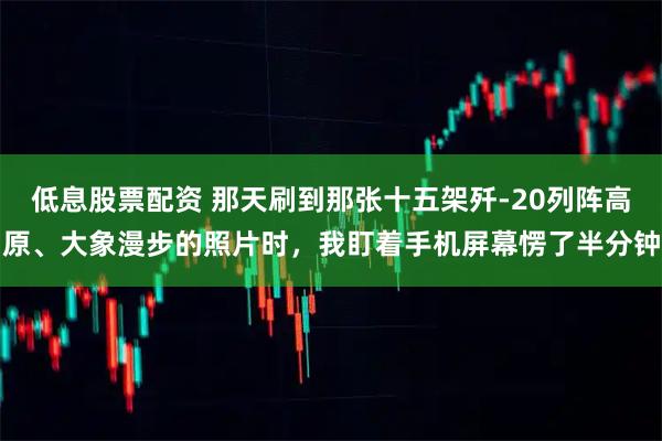 低息股票配资 那天刷到那张十五架歼-20列阵高原、大象漫步的照片时，我盯着手机屏幕愣了半分钟
