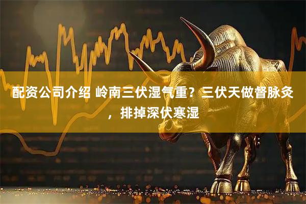 配资公司介绍 岭南三伏湿气重?三伏天做督脉灸,排掉深伏寒湿